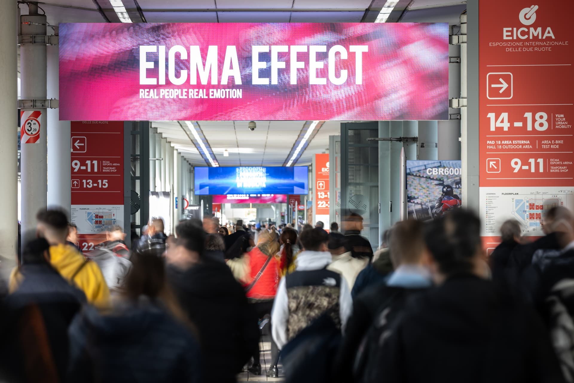 โ๏ธ #17 EICMA Round-up ๐